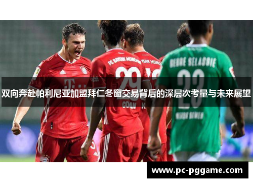 双向奔赴帕利尼亚加盟拜仁冬窗交易背后的深层次考量与未来展望