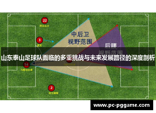 山东泰山足球队面临的多重挑战与未来发展路径的深度剖析
