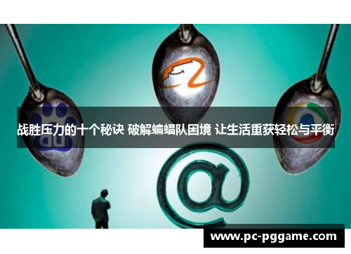 战胜压力的十个秘诀 破解蝙蝠队困境 让生活重获轻松与平衡