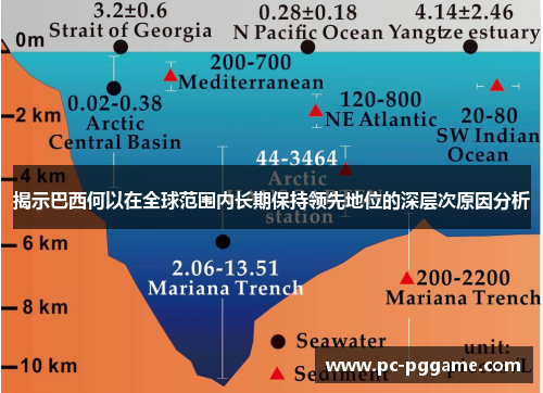 揭示巴西何以在全球范围内长期保持领先地位的深层次原因分析 揭示巴西何以在全球范围内长期保持领先地位的深层次原因分析