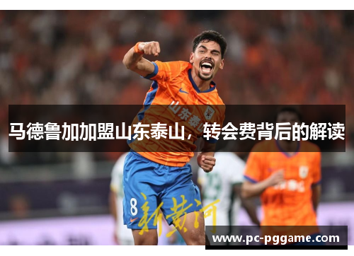 马德鲁加加盟山东泰山,转会费背后的解读