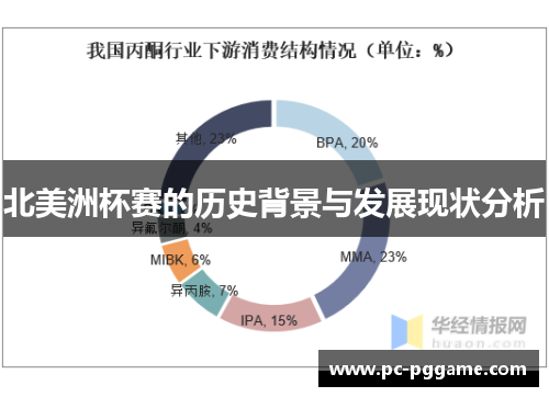 北美洲杯赛的历史背景与发展现状分析