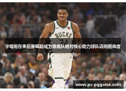 字母哥在季后赛崛起成为雄鹿队绝对核心助力球队迈向新高度