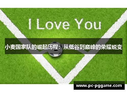 小麦国家队的崛起历程：从低谷到巅峰的荣耀蜕变