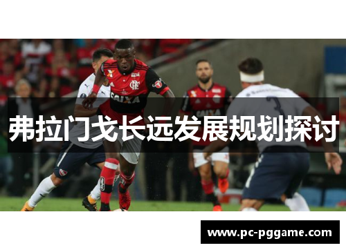 弗拉门戈长远发展规划探讨