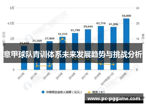 意甲球队青训体系未来发展趋势与挑战分析