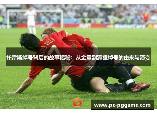 托雷斯绰号背后的故事揭秘：从金童到狐狸绰号的由来与演变